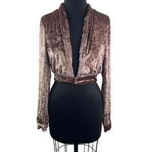 Lovers + Friends Brown Floyd Velvet Top Deep V-Neck Cropped Long Sleeve Size S